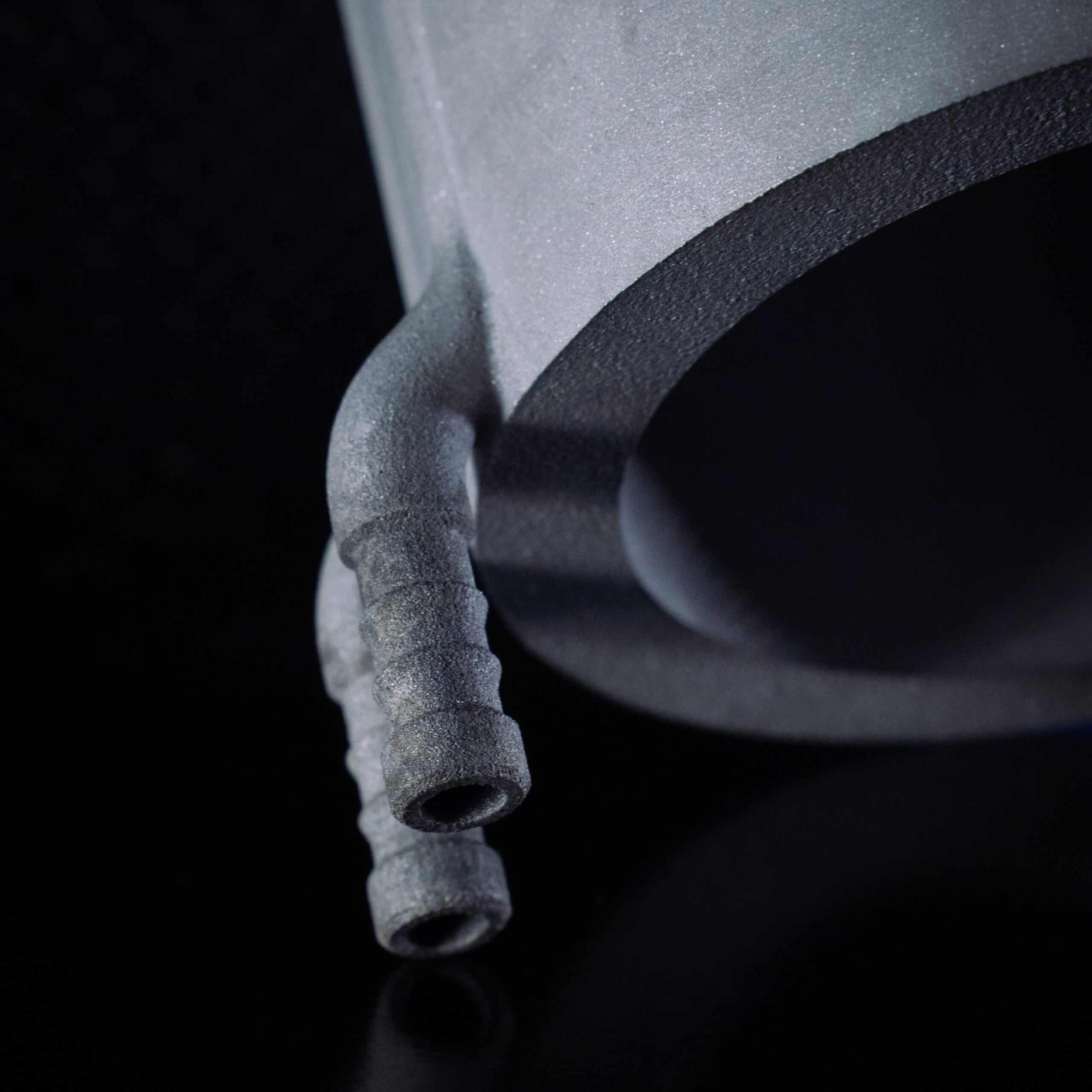 20250312-20250312-DSC06604